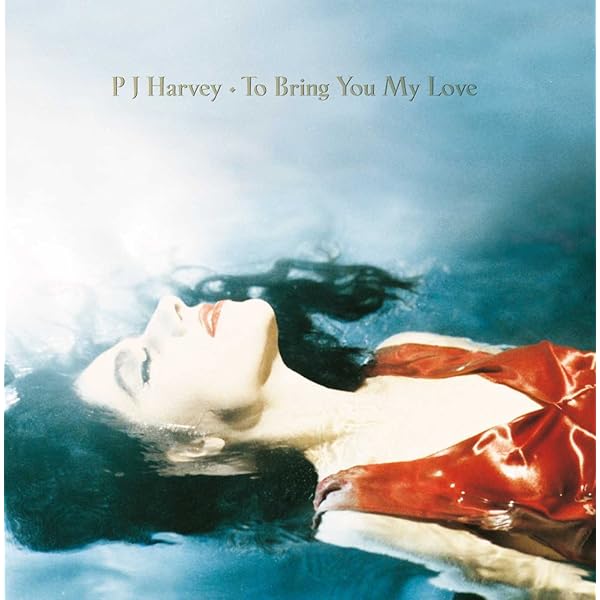絶版 PJ Harvey 「The Hollow of the Hand」大型本 The Hollow of the